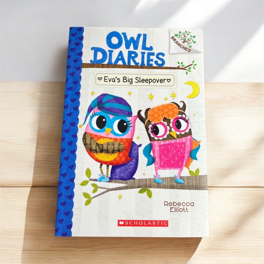 3/$22 Set of 2 Scholastic Owl Diaries Book Set Book 1 & 9 Rebecca Elliott Kids - Picture 3 of 7
